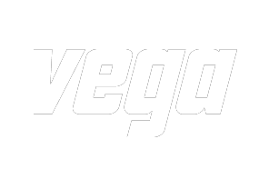 Vega Security